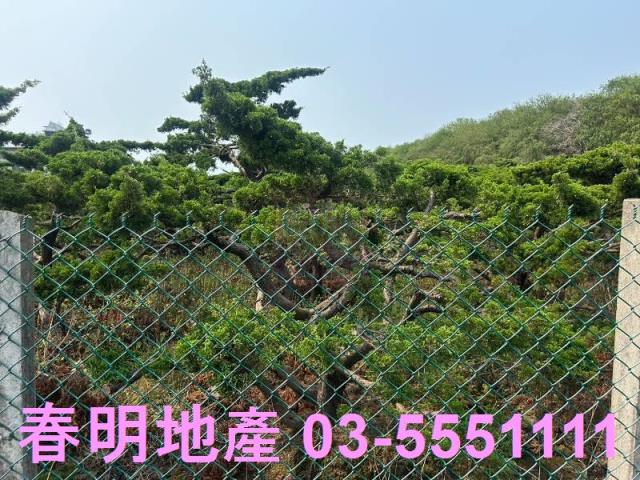 新竹新豐農地-4