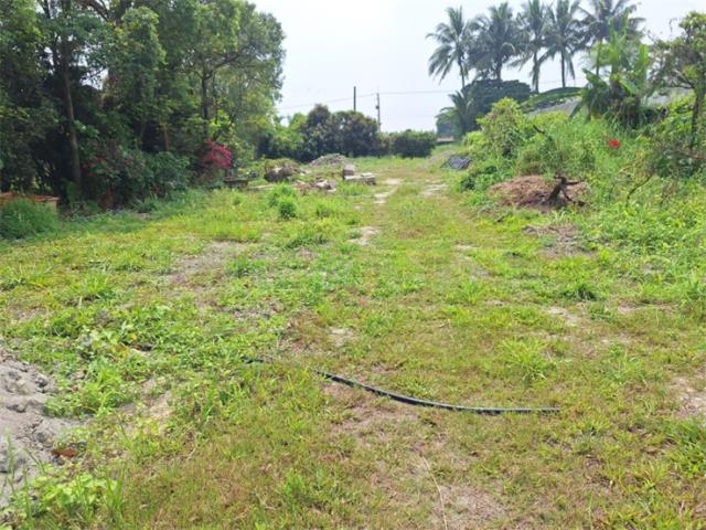 屏東竹田農地-6