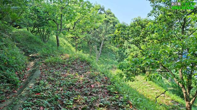 新竹峨眉農地-10