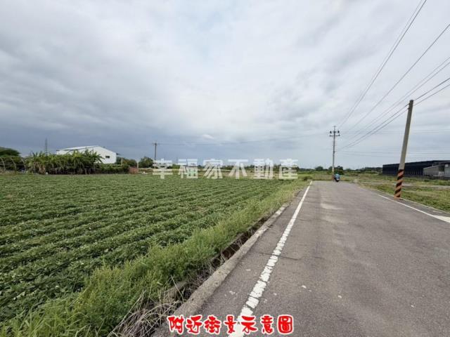 新化農地-9