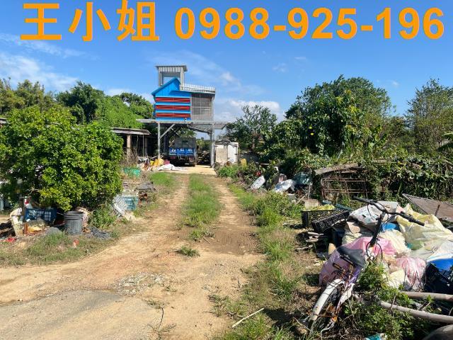 桃園新屋農地-3