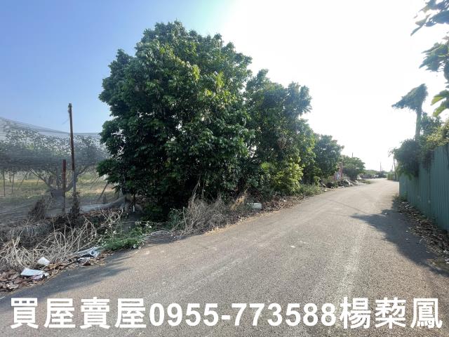 高雄燕巢農地-1