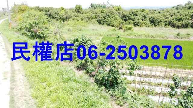台南官田農地-3