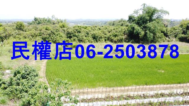 台南官田農地-1