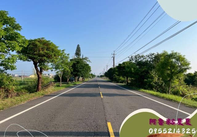 嘉義湖子內店富鑫阿魯米與夏夏建地農地買賣台灣房屋嘉義湖子內店