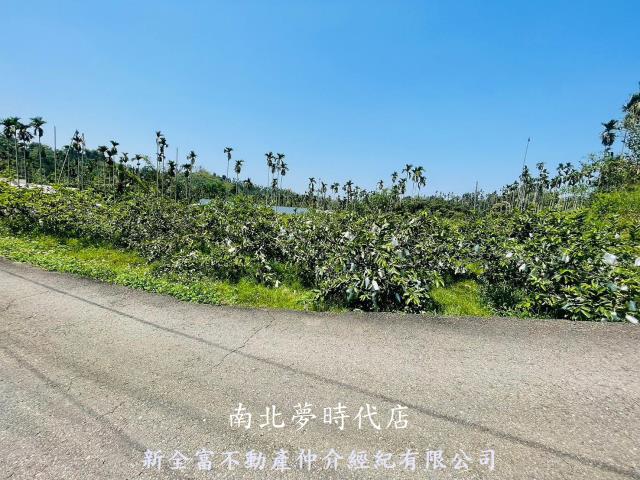 嘉義農地-4