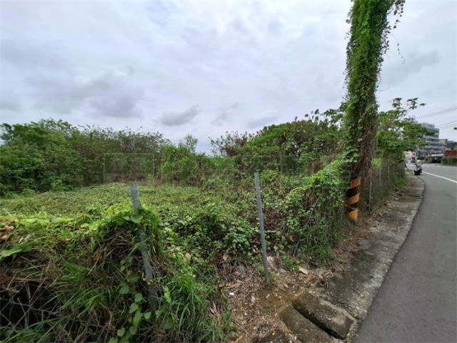 高雄農地-4