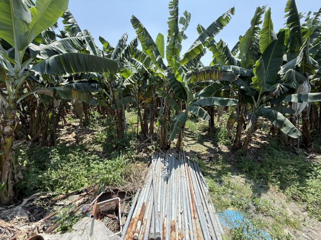 里港29分方正農地