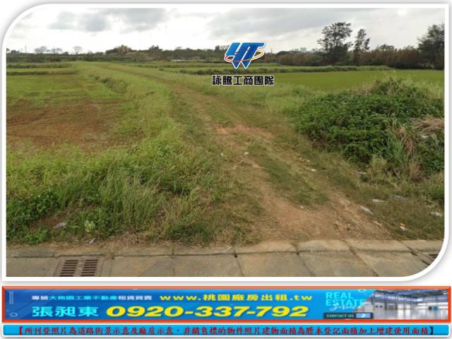 觀音15米旁甲建農地