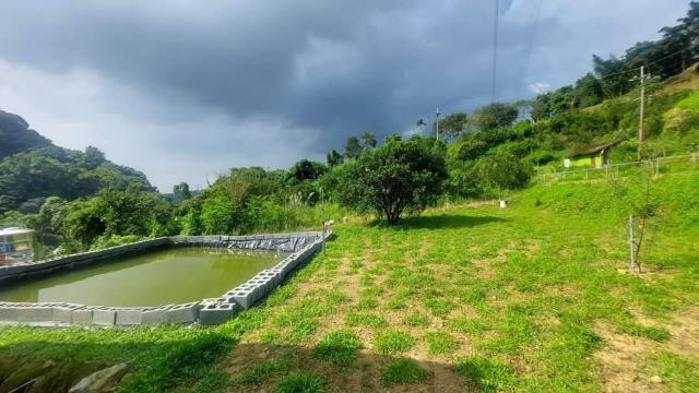 台中東勢農地-7