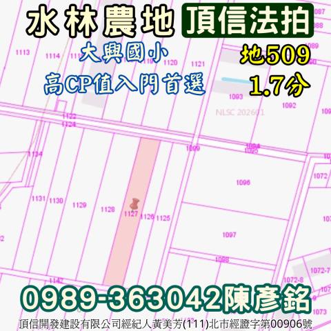 雲林水林農地拍賣-3