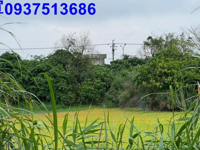 宜蘭壯圍農地-3