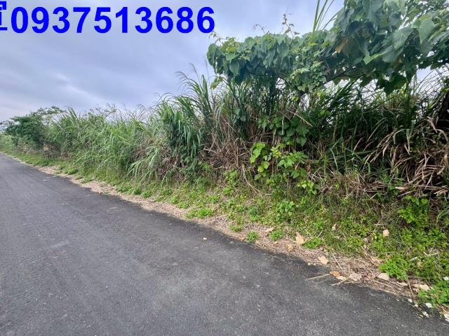 宜蘭壯圍農地-2