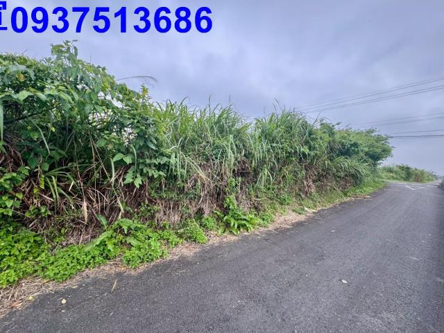 宜蘭壯圍農地-6