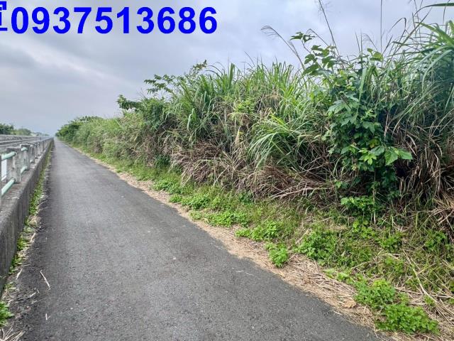 宜蘭壯圍農地-8