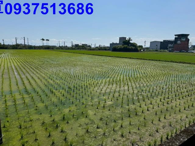 宜蘭宜蘭市工業建地-4