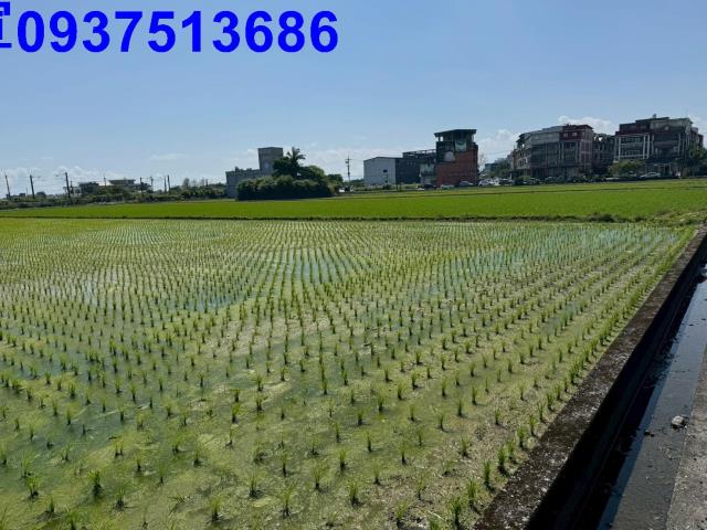 宜蘭宜蘭市工業建地-5