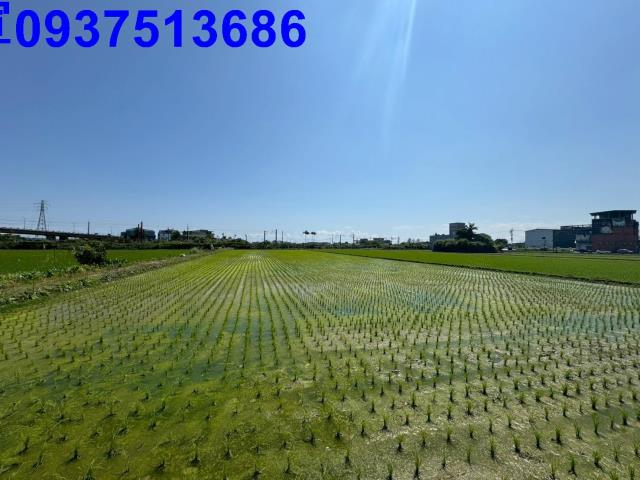 宜蘭宜蘭市工業建地-3