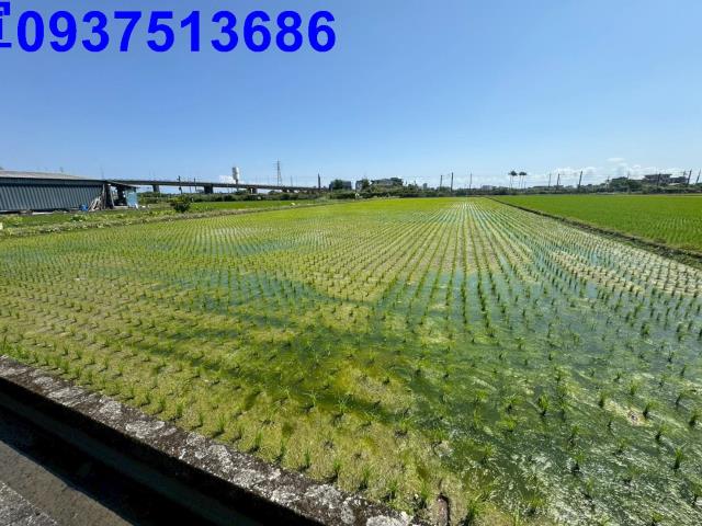 宜蘭宜蘭市工業建地-6