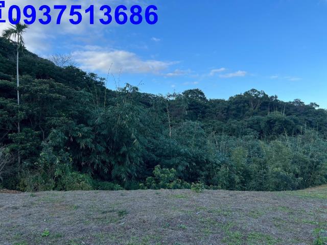 宜蘭三星山坡地-7