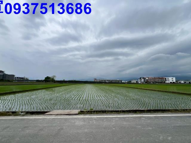 宜蘭宜蘭市農地-4