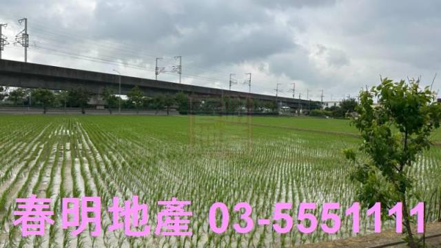 楊梅農地-0