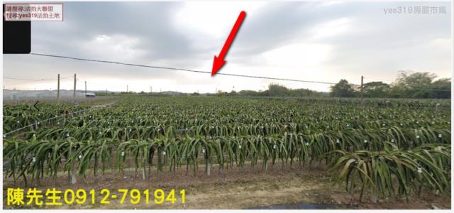 中埔法拍中埔農地中埔土地