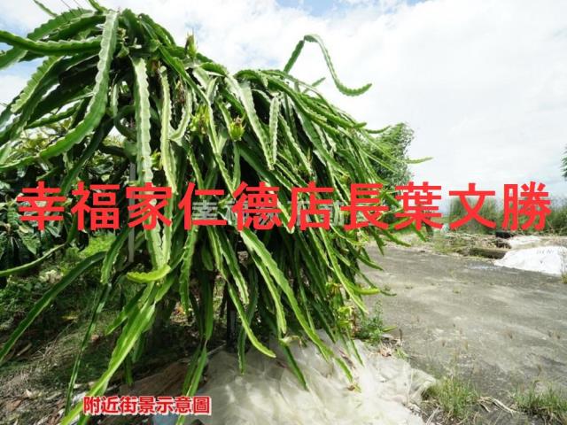 後壁農地-12