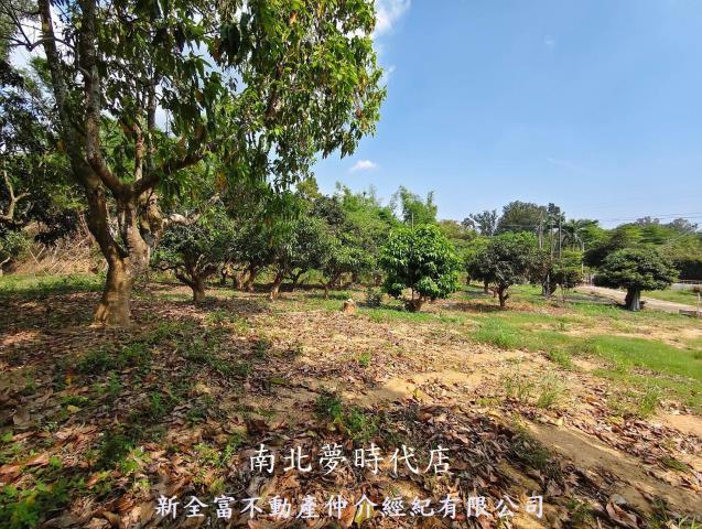 台南農地-12