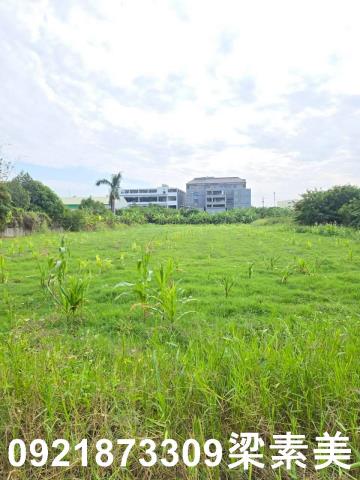 台南永康農地-9