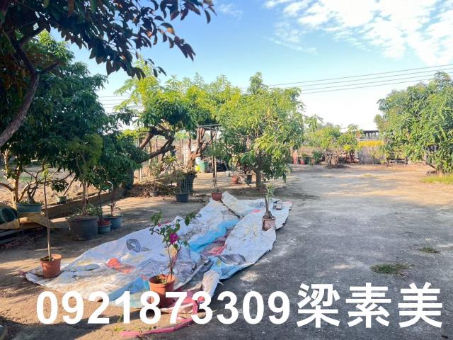 台南仁德農地-12