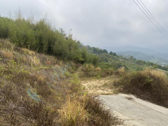 台中東勢農地-2