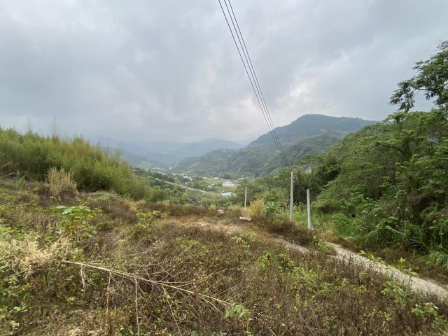 台中東勢農地-6