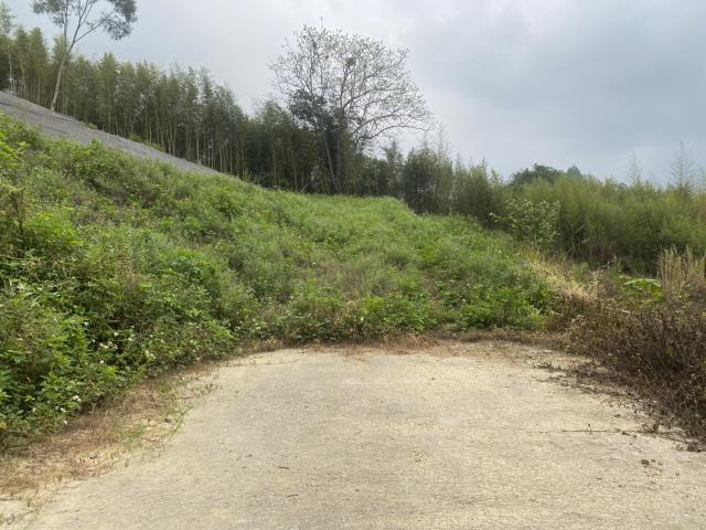 台中市東勢區坪埔段休閒農地A