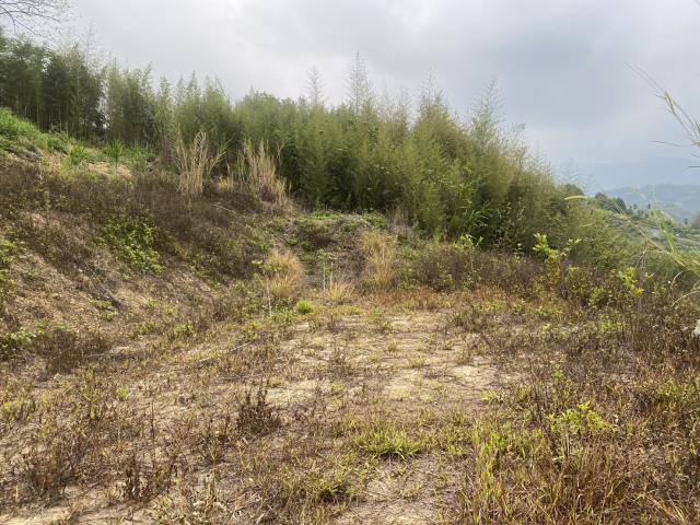 台中東勢農地-7