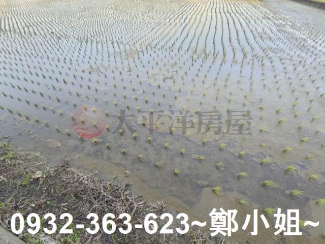 桃園桃園區農地-1