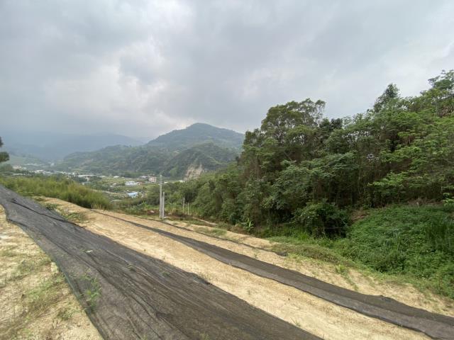 台中東勢農地-1