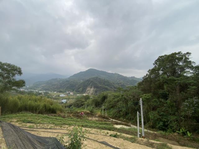 台中東勢農地-5