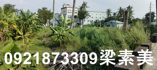 台南仁德農地-9