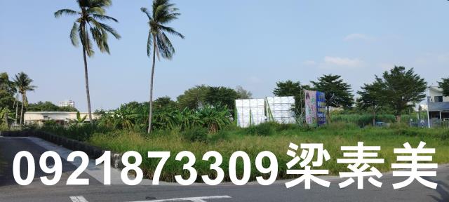 台南仁德農地-10