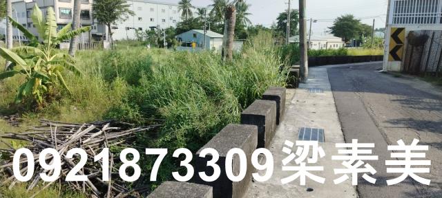 台南仁德農地-8