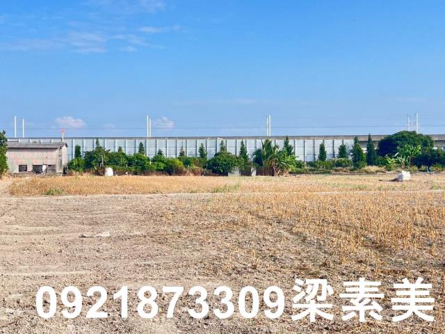 台南仁德農地-4