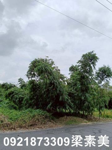 台南關廟建地-0