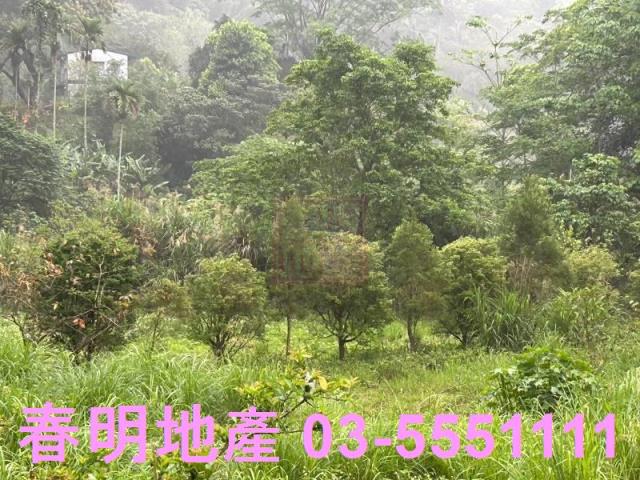 新竹北埔農地-1