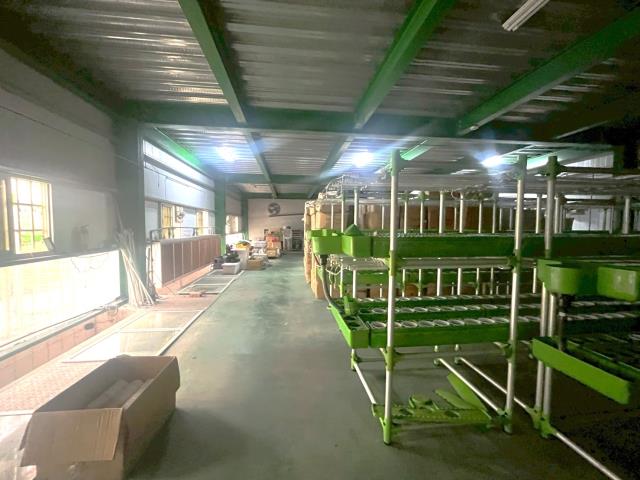 台中大雅農地-9