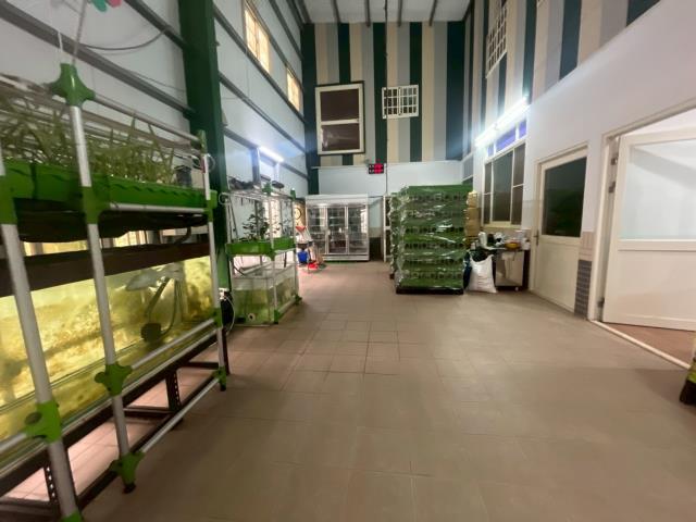 台中大雅農地-13