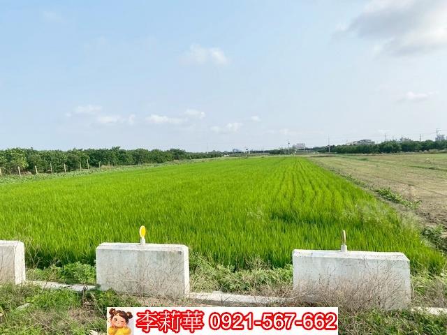 台南佳里農地-3