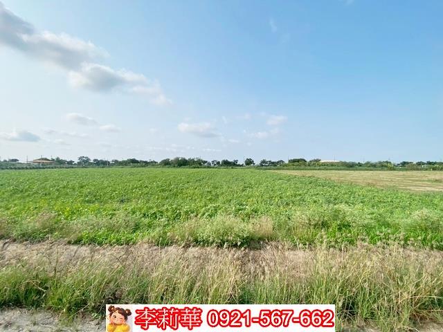 台南佳里農地-4