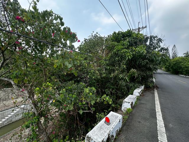 台南左鎮農地-2