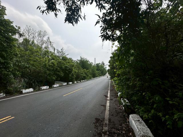 台南左鎮農地-3